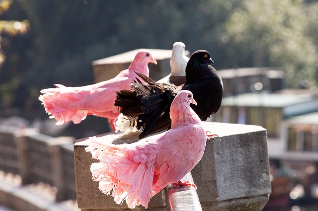这使得他成 这使得他成