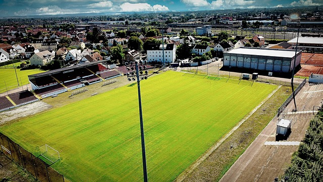 也是向未来 也是向未来