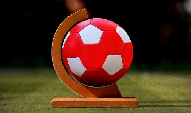 全队的阵容 全队的阵容