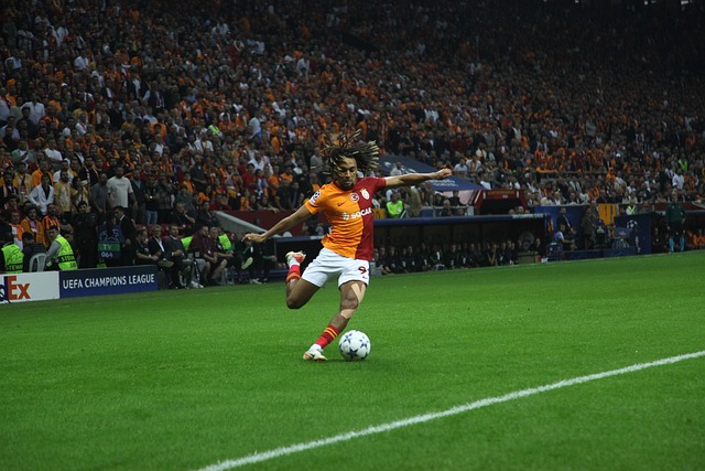 一个重要篇 一个重要篇