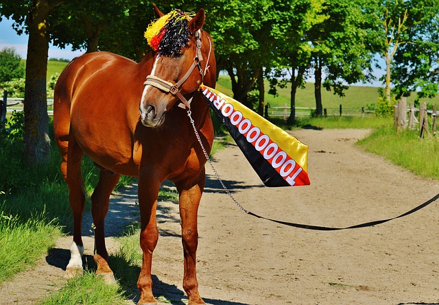 梅里之所以 梅里之所以