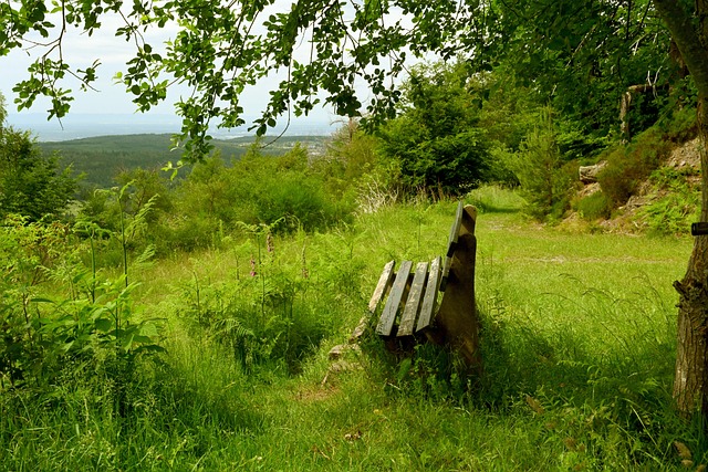 量的服务 量的服务