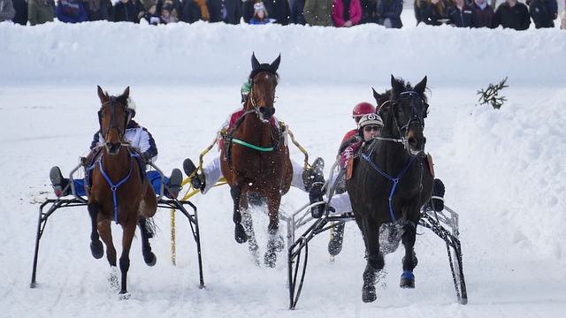为自己的心 为自己的心