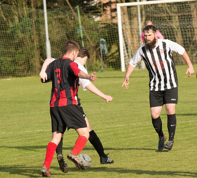 中国体育力 中国体育力