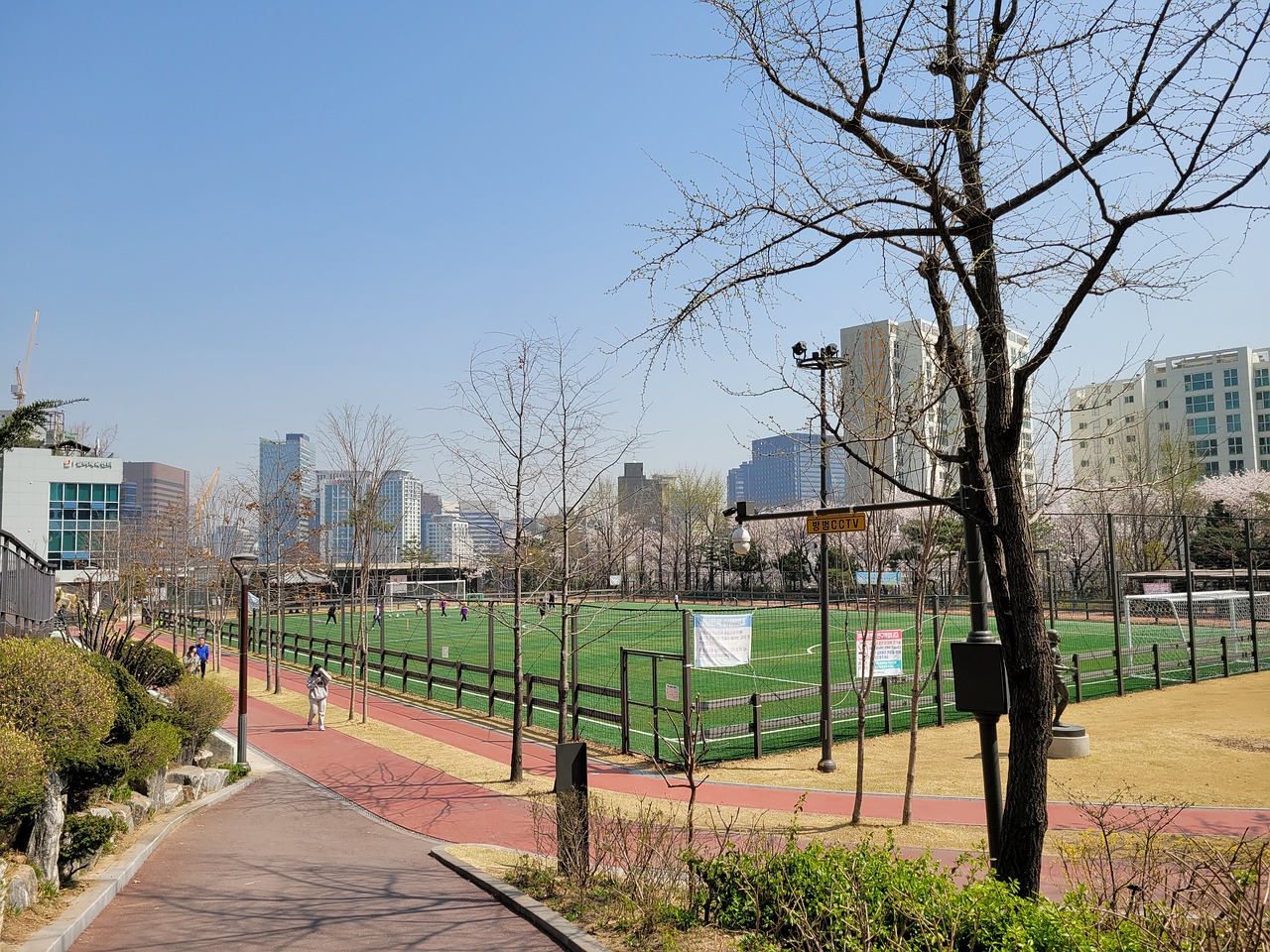 定会成为赛 定会成为赛